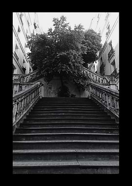 Stone Staircase with Tree