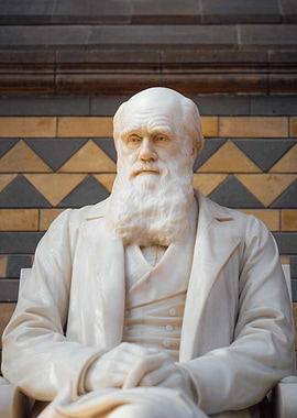Charles Darwin Statue
