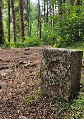 Indicateur de destinée
