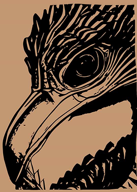 Black and White Eagle Head