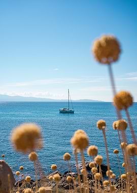 Sailboat on Calm Sea