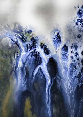 Mysteries of the Marsh