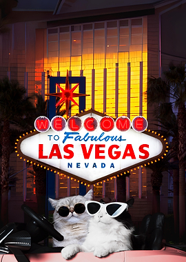 Cool Cats in Vegas