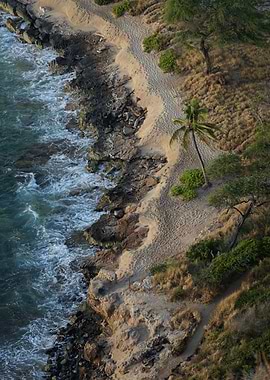 Coastal Serenity: Aerial View of a Tropical Beach with Palm Trees and Rocky Shoreline