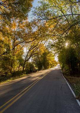 Autumn Road