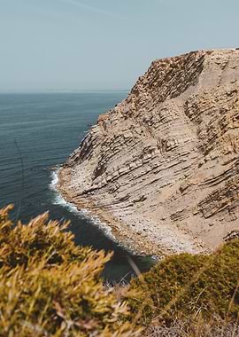 Coastal Cliffside