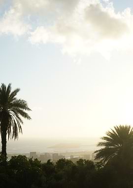 Golden Horizon: Palm Trees Overlooking Cityscape and Ocean at Sunset