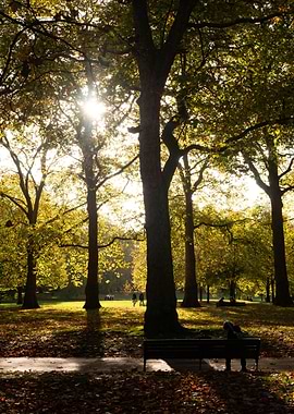 The Green Park in London - Autumn