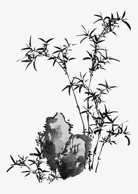 Black Ink Bamboo Painting