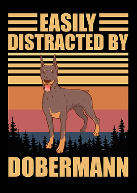 Doberman Distracted