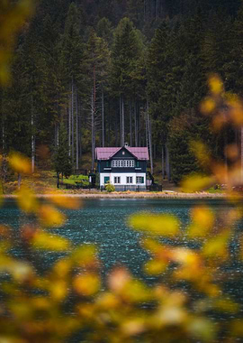 Cabin by the Lake