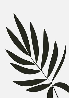 Black and White Palm Leaf
