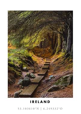 Irish Woodland Path