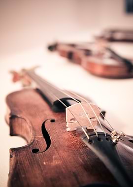Violin Close-Up