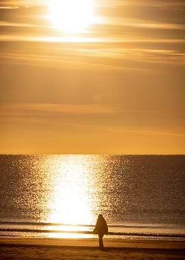 Silhouette at Sunset