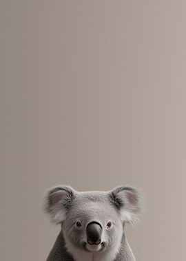 Koala Portrait