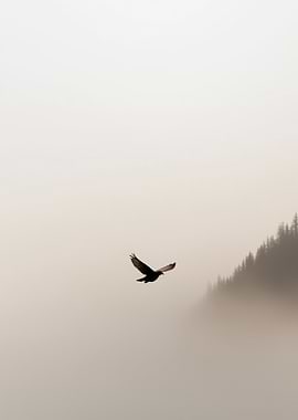 Bird in Fog