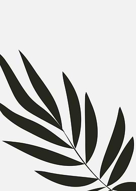 Black and White Leaf