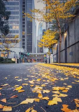 Autumn City Street