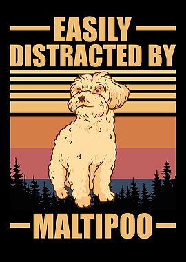 Maltipoo Dog Retro Design