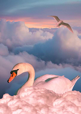 Swan in Clouds