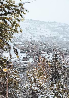 Snowy Mountain Village
