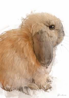 Cute Lop-Eared Bunny