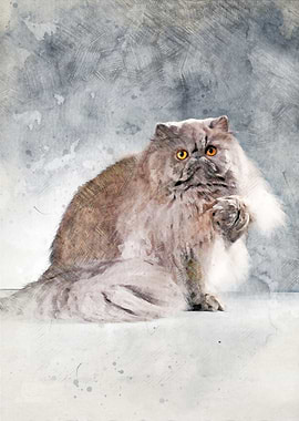 Persian Cat