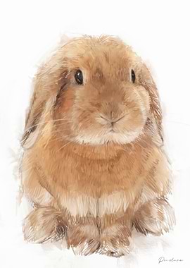 Cute Brown Rabbit