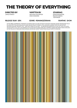 The Theory of Everything Movie Poster