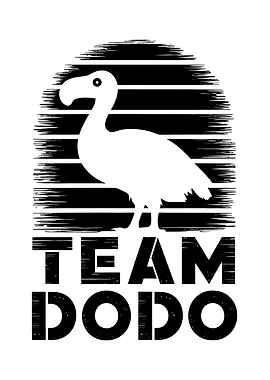 Team Dodo Retro Design