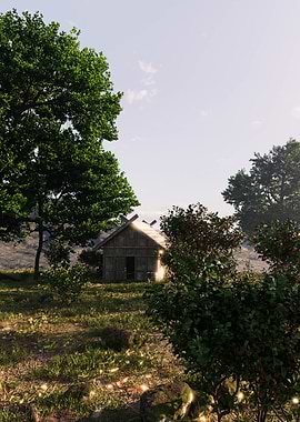Wooden Cabin in Forest