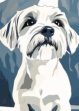 White Maltese Dog Portrait