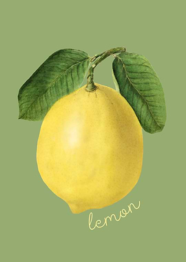 Lemon Illustration