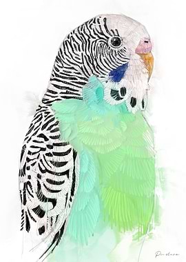 Green Budgie Watercolor