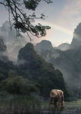 Misty Mountain Landscape