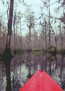Kayaking Through Swamps