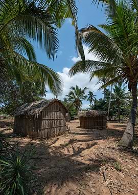 Tropical Hut Village