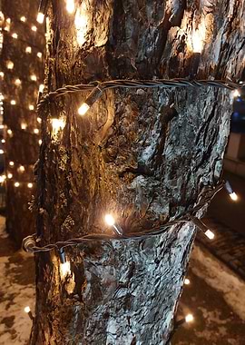 Tree Lights