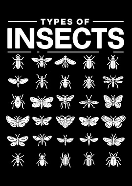 Types Of Insects
