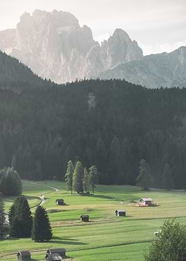 Mountain Meadow Landscape