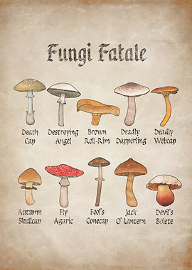 Fungi Fatale