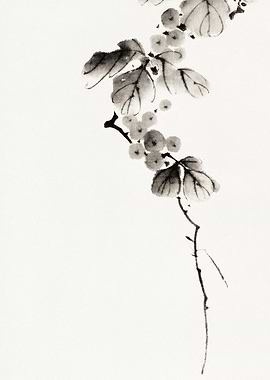Ink Painting of Branch with Berries