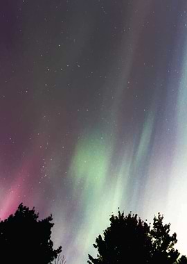 Northern Lights Display