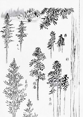 Hokusai's pine trees