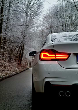 White BMW F36 in Winter Forest