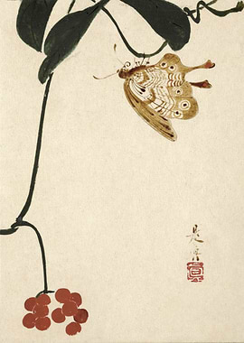 Butterfly and Berries