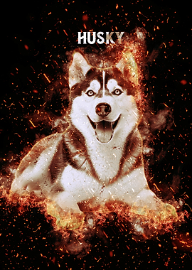 Fiery Husky dog