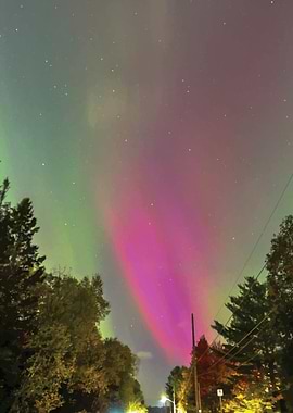 Northern Lights Over Trees