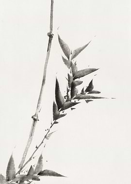 Katsushika Hokusai’s bamboo
